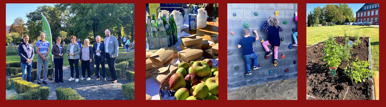 Collage Gesundheitsparcours