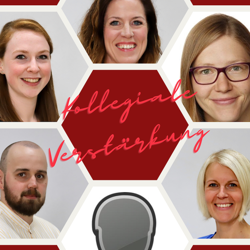 Kollegiale Verstärkung